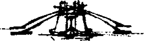 Figure 4.17. The Don Pedro.